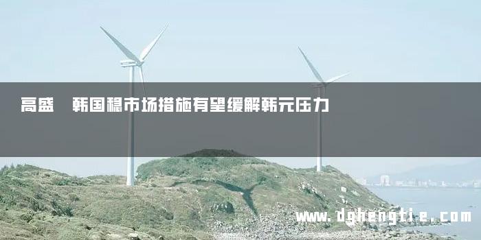 高盛 韩国稳市场措施有望缓解韩元压力